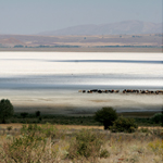 Salz See